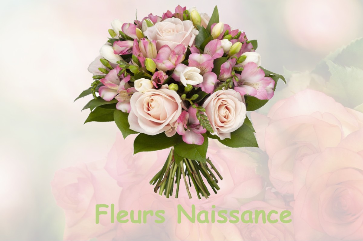 fleurs naissance CHAMPOULET