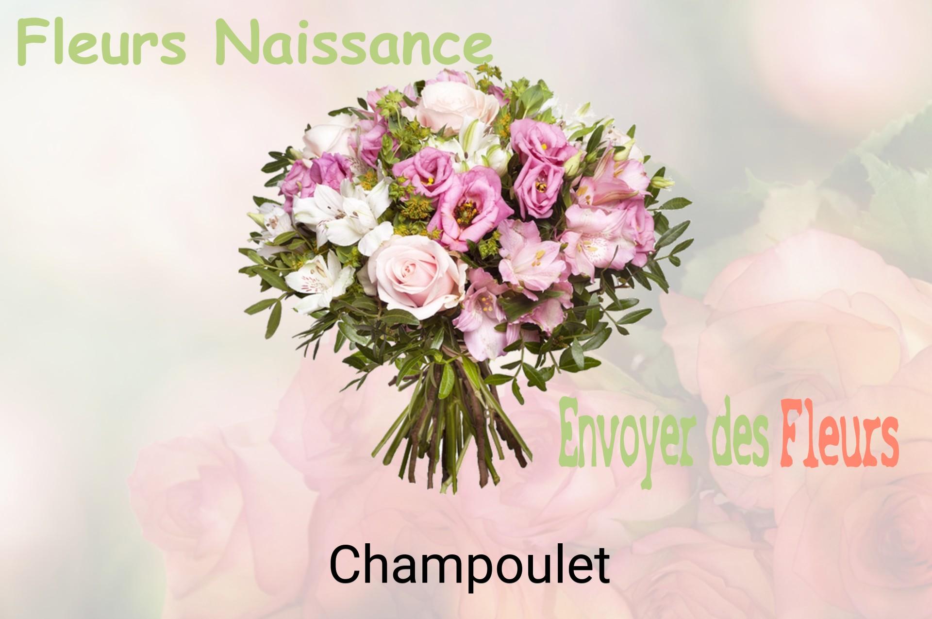 Bouquet de fleurs de naissance livré à Champoulet