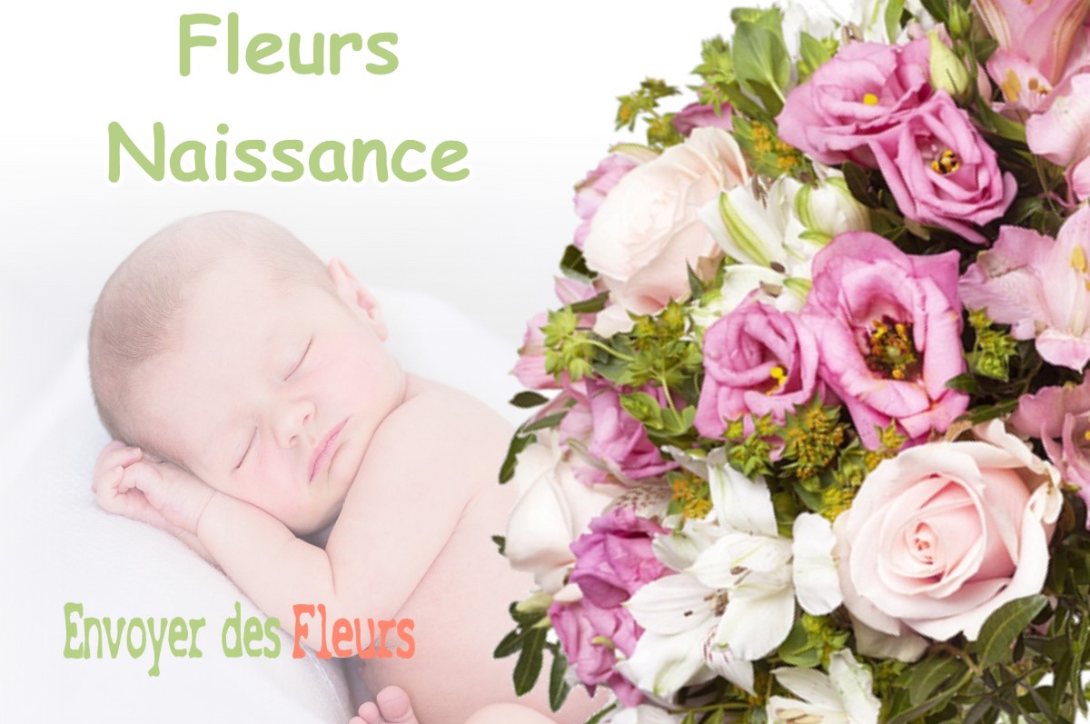 lIVRAISON FLEURS NAISSANCE à CHAMPOULET